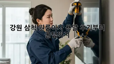 강원 삼척 원룸이사, 용달 후기부터 꿀팁까지! 🚚💨